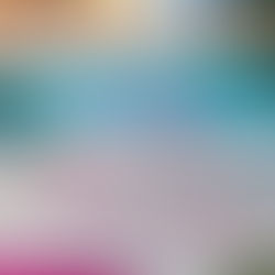 Restaurant Review: Four Flamingos, A Richard Blais Florida Kitchen