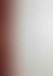 Moon Wok Dinner Menu with Prices