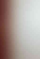 Moon Wok Dinner Menu with Prices