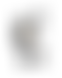 🌸Primavera em Buenos Aires: Looks dos dias 24/11 a 30/11