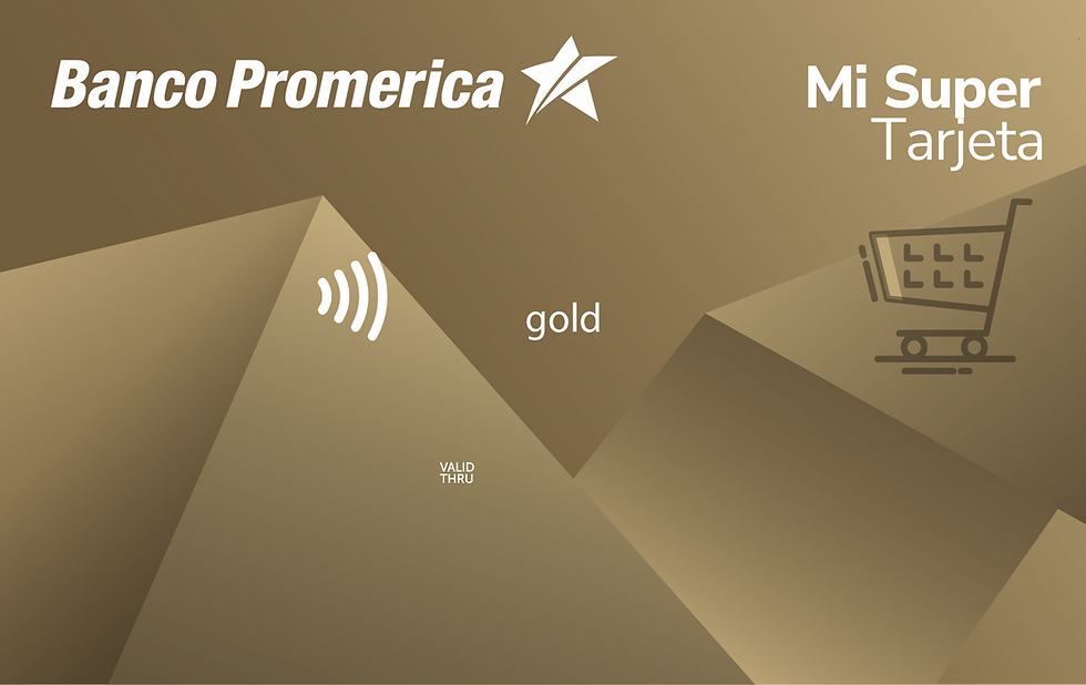 TC PROMERICA 2024213.png