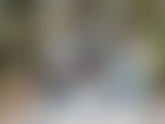 Haïti-ONU-Politique : Le gouvernement soutient l’idée de transformer la MMAS en une force de répression