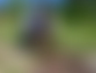 Haïti-Éducation-Environnement : Table thématique sur la gestion des risques de désastre en milieu scolaire