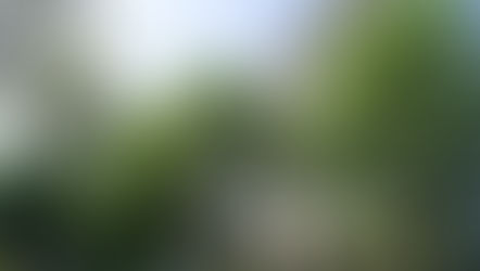 Planned works at Scottish Towers