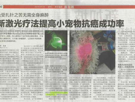 At PRESS: Our wireless Photodynamic Therapy for canine tumour management has been featured at Lianhe Zaobao