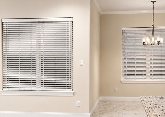 Blinds_edited_edited.jpg