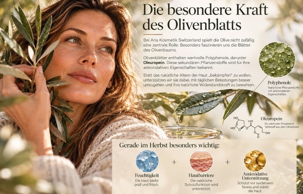 Die besondere Kraft des Olivenblatts