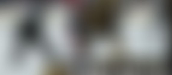 P-BRUINS FALL TO THUNDERBIRDS