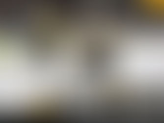 P-BRUINS FALL TO PENGUINS