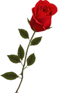 2bf2c790b8a0fdab5a10325edf26c72b_edited.