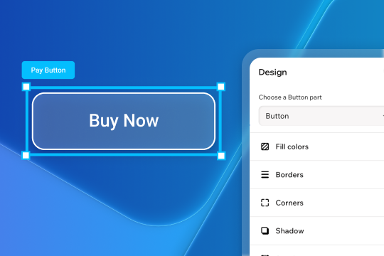 Pay Button banner