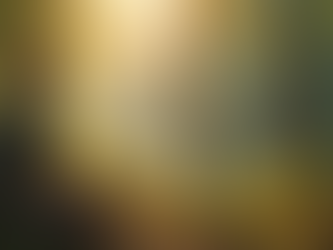 Exploring Nature-Inspired Coaching for Personal Health