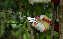 AdobeStock_286333043_2x.png