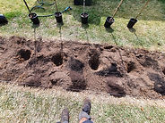 Planting Roses and New Border.jpg