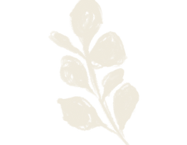 Elemento Canto das Águas