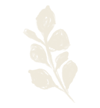 Elemento Canto das Águas