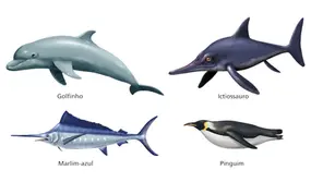 realista_animais.webp
