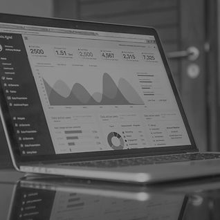 Computer with Graph_edited_edited.jpg