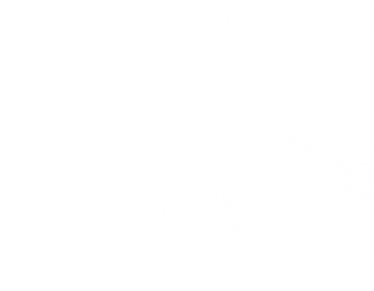 Abstract vector lines - translucent