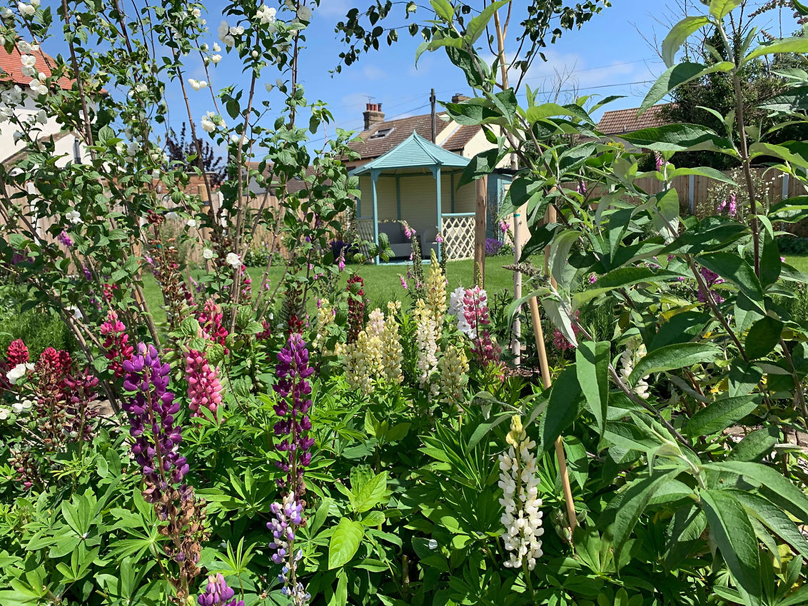 A cottage garden design bursting with flowers - a painted summerhouse can be seen in the distance
