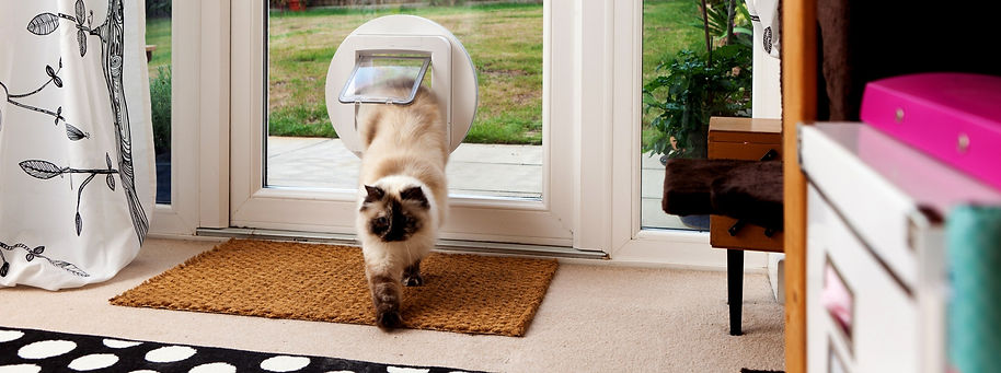 Pet door