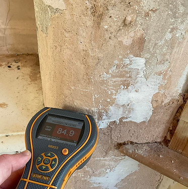 Using a Protimeter to measure the moisture levels of a wall for an accurate damp survey