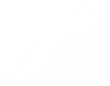 Abstract vector lines