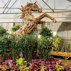 Heuchera 'wild rose' plants amongst other outdoor plants. An enormous horse garden statue 