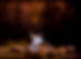 Swan Lake (94 of 100).jpg