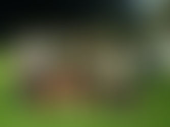 Excellencia Triumphs to Claim the 2025 Football Championship Title