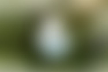 Carbon Footprint Chronicles: Unveiling the Invisible Impact