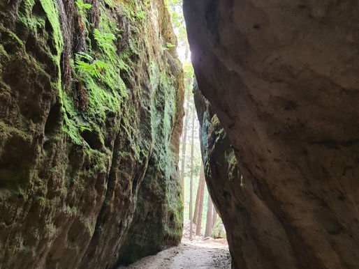 Co Znamená Být Svobodný? Hluboký Pohled na Různé Typy Svobody
