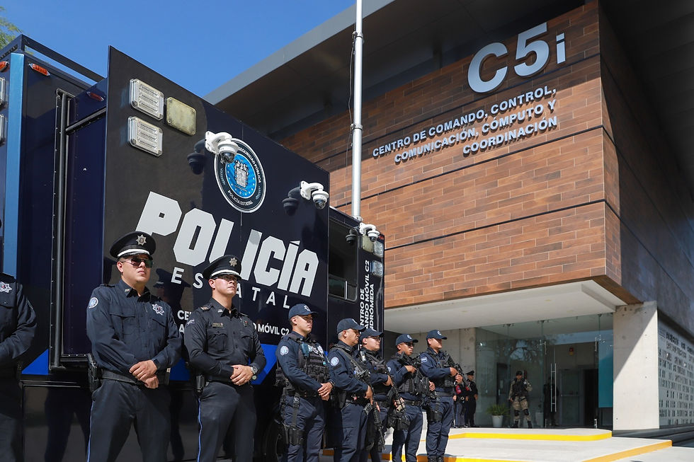 WhatsApp Image 2025-12-03 at 13.02.19.jpeg