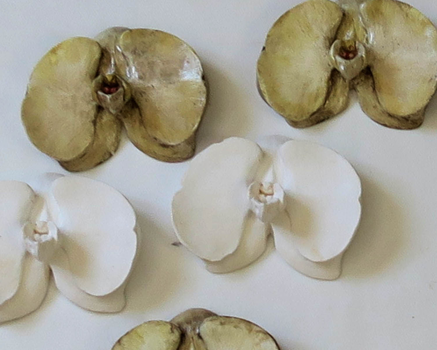 Flores Phalaenopsis