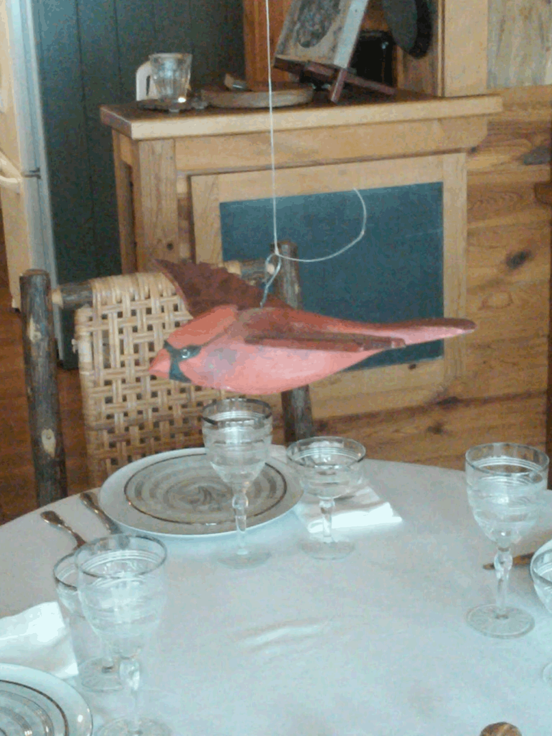 cardinal test as gif.gif