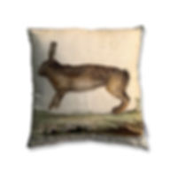 The Rabbit Cushion Cover