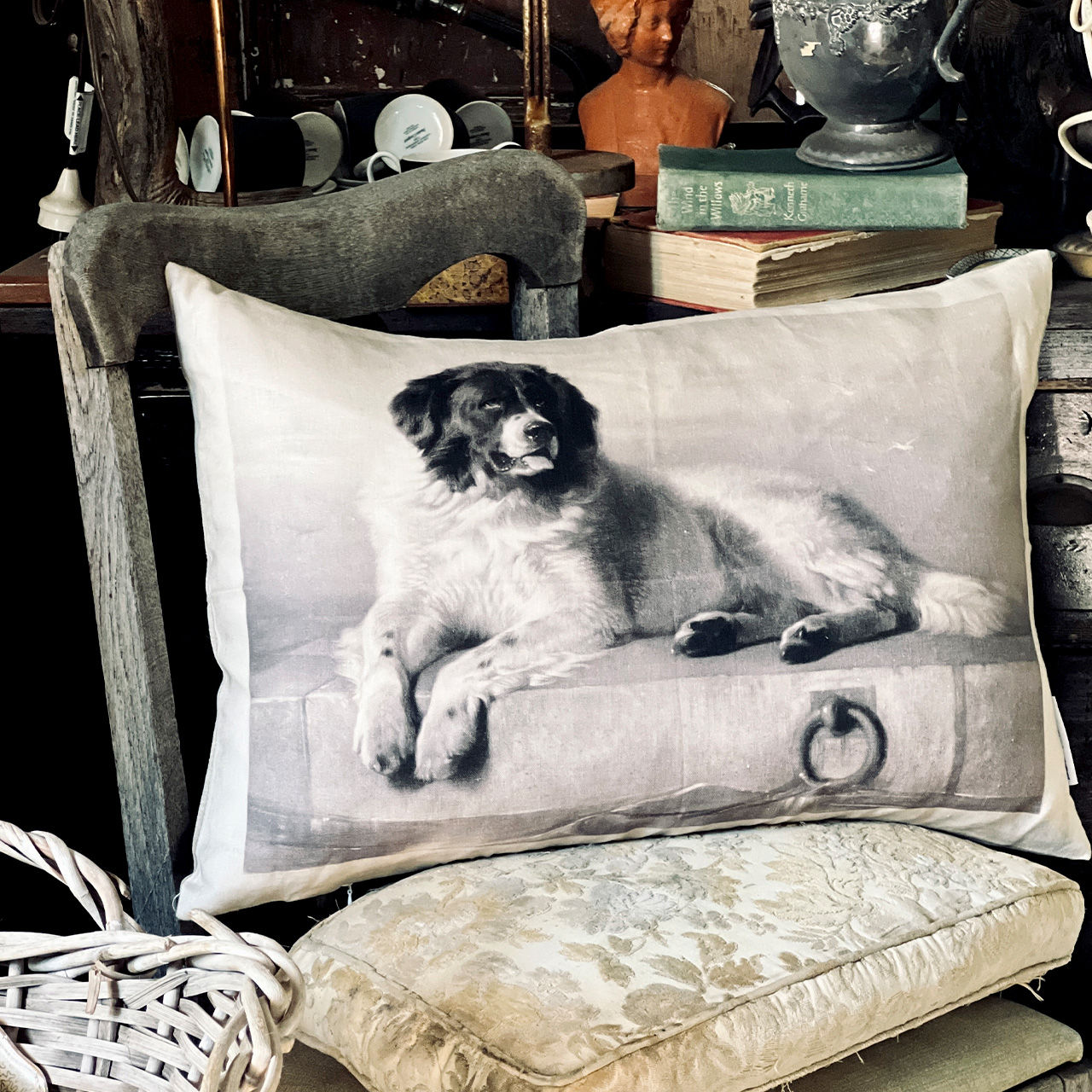 Old Sea Dog cushion cover 