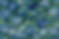 VanGoghFlowers.png