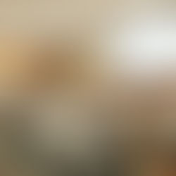 VIOLENCIA FAMILIAR LA MAYOR INSEGURIDAD CIUDADANA