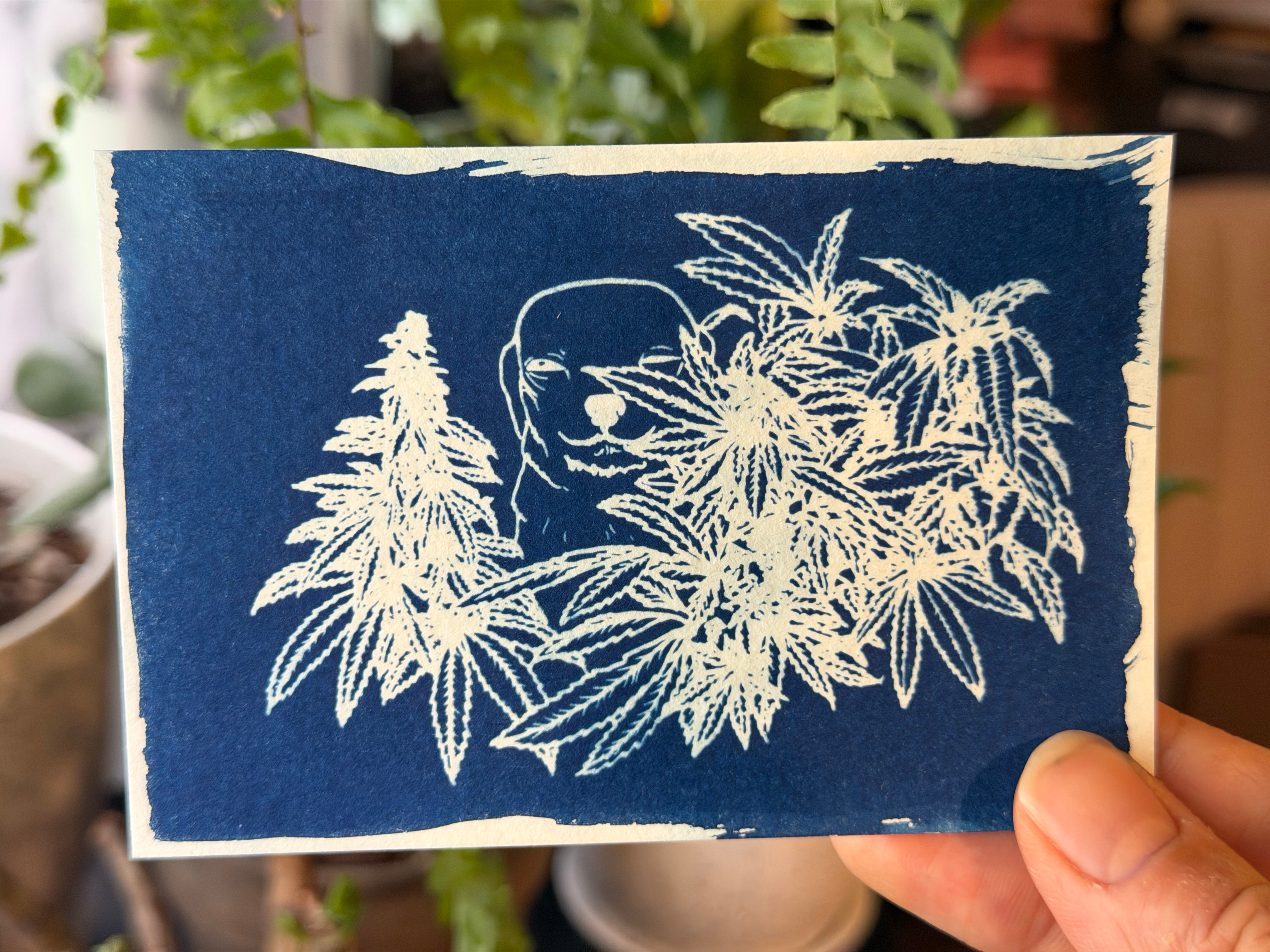 weed pup - cyanotype