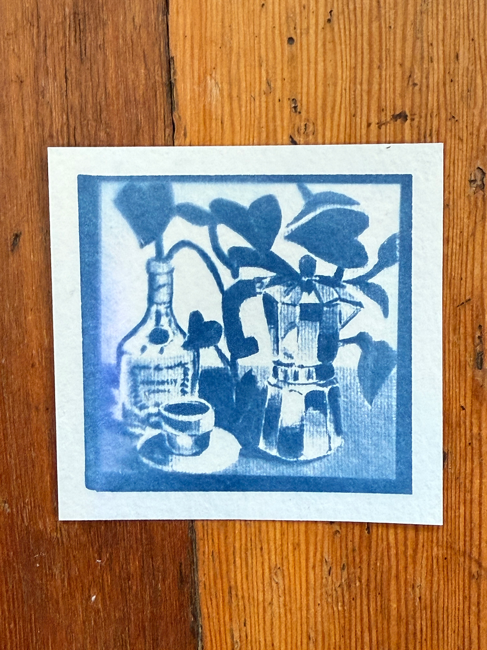 cafecito y una planta en una botella de hennessy - cyanotype