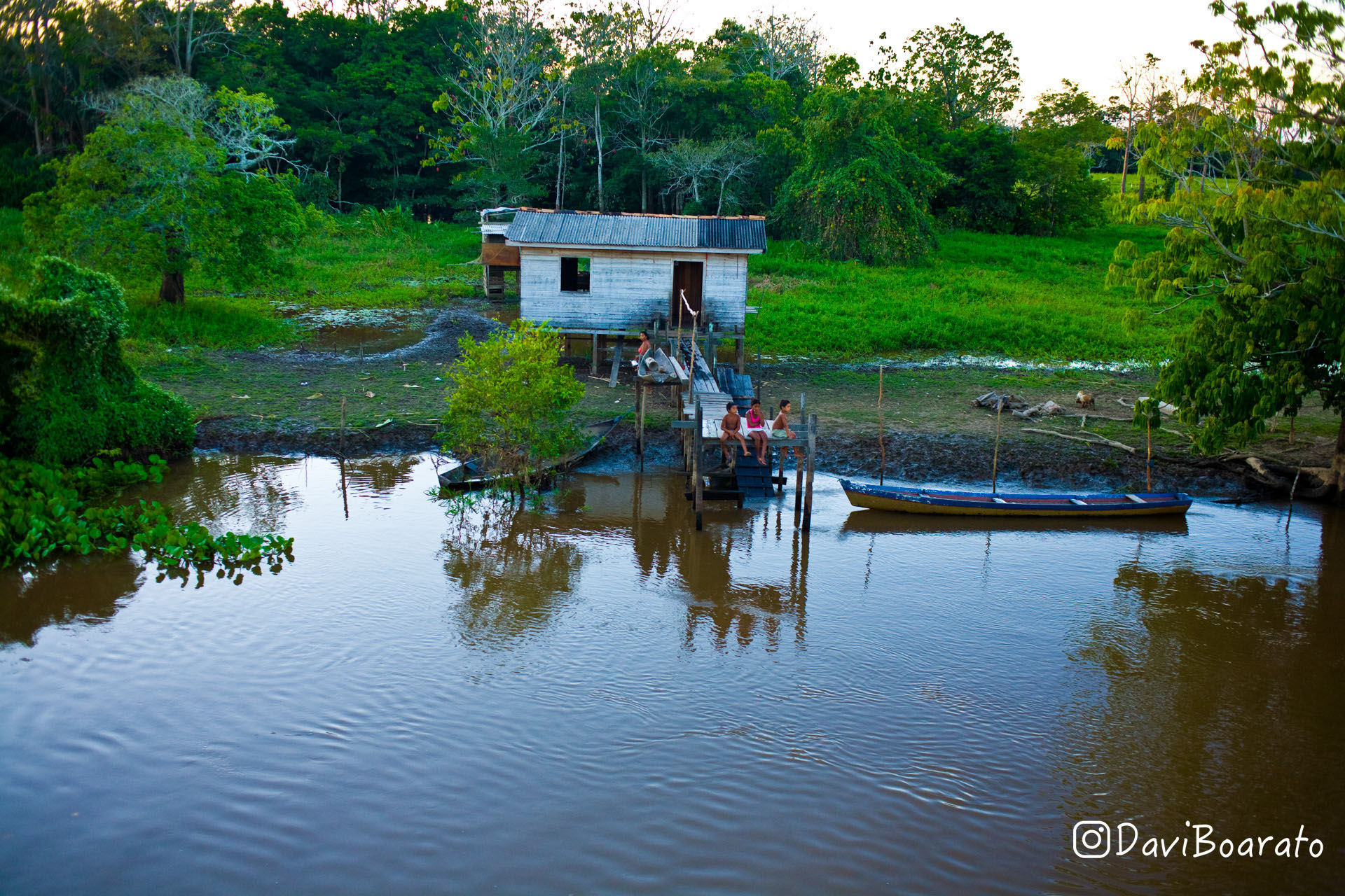 Amazônia. Impressão 30x40cm. Papel Hahnemühle. REF: 5083