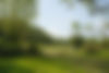 DSCF0297.jpg