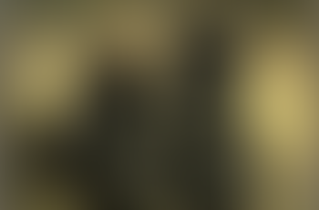 「ゴッホ」の話