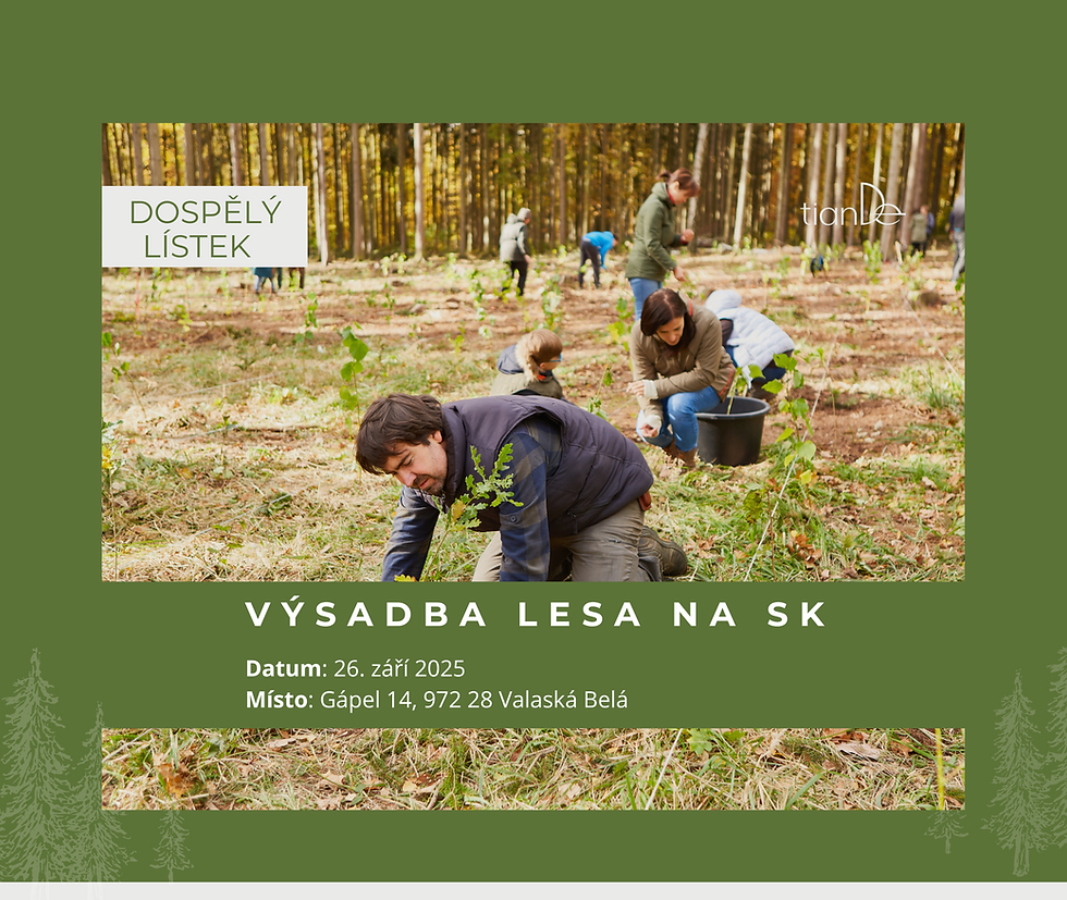 Výsadba lesa na Slovensku (Dospělý)