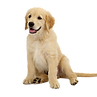 image_edited_edited.png