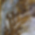 DSC09818.jpg