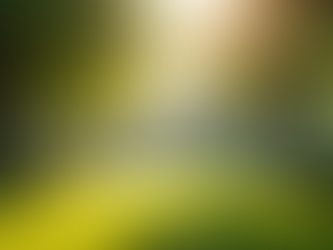 Holistic Prostate Care: Nurturing Wellness from Within