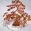 Thumbnail: Carnelian Red Tree Of Good Luck