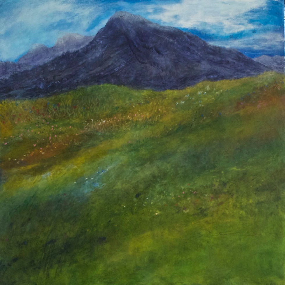 Mountain Meadow